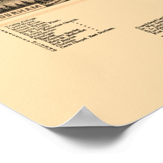 Durham, NC Panoramic Map - 1891 Poster (Hoek)