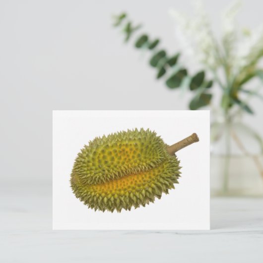 Durian Briefkaart (Staand voorkant)