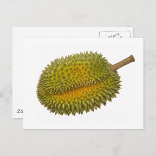 Durian Briefkaart (Voorkant / Achterkant)