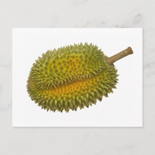 Durian Briefkaart (Voorkant)