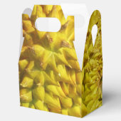 Durian Fruit Bedankdoosjes (Geopend)