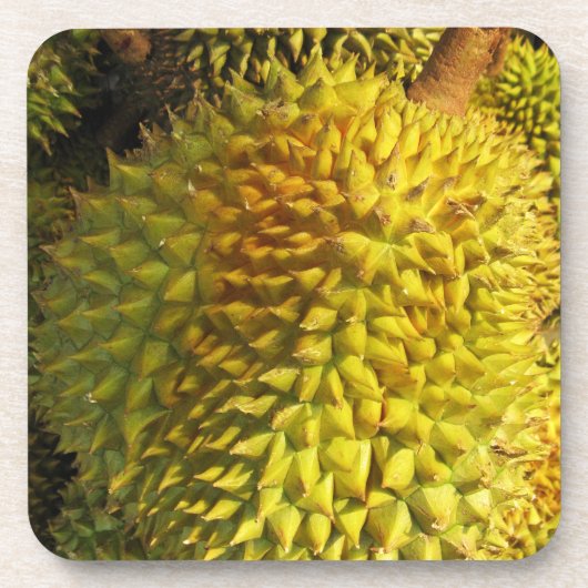 Durian Fruit Bier Onderzetter (Voorkant)