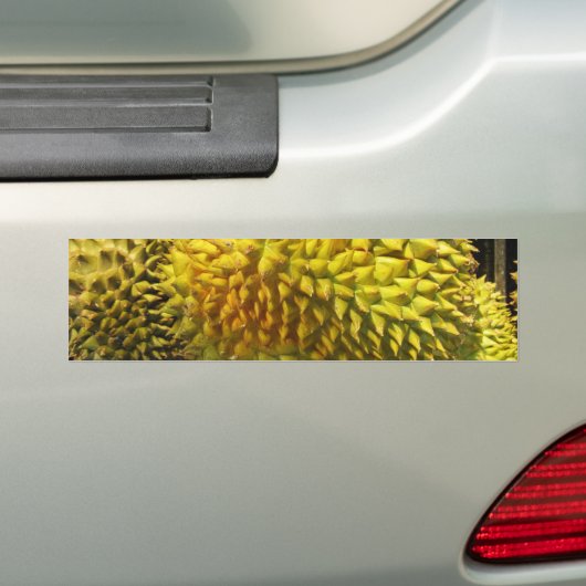 Durian Fruit Bumpersticker (Op auto)