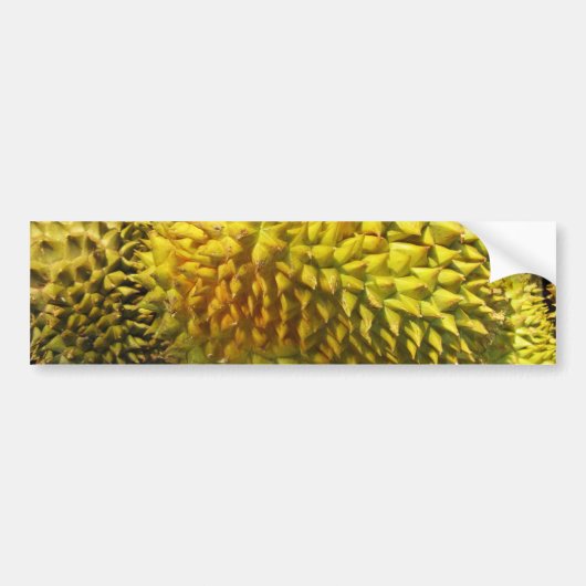 Durian Fruit Bumpersticker (Voorkant)
