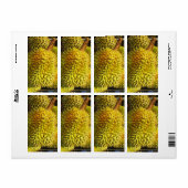 Durian Fruit Etiket (Full Sheet)