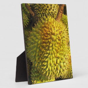 Durian Fruit Fotoplaat