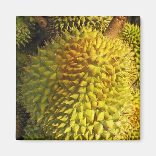 Durian Fruit Magneet (Voorkant)