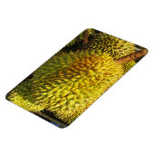 Durian Fruit Magneet (Linkerzijde)