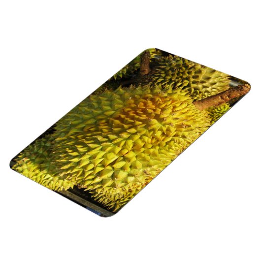 Durian Fruit Magneet (Linkerzijde)