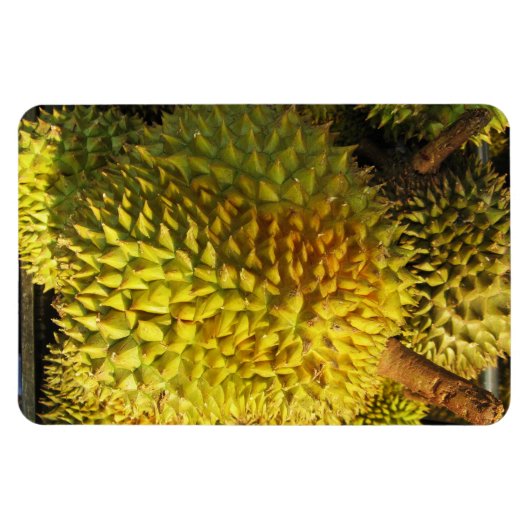 Durian Fruit Magneet (Horizontaal)
