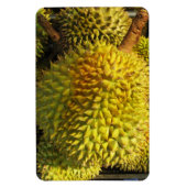 Durian Fruit Magneet (Verticaal)