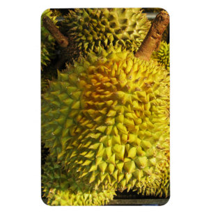 Durian Fruit Magneet