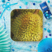 Durian Fruit Papieren Bordje (Feest)