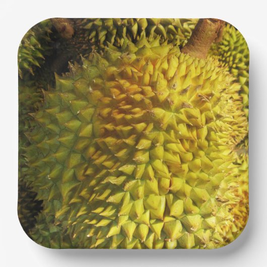 Durian Fruit Papieren Bordje (Voorkant)