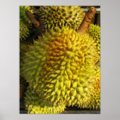 Durian Fruit Poster (Voorkant)
