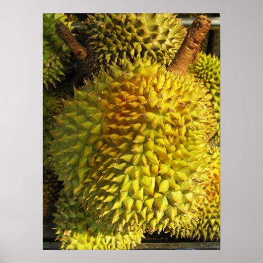 Durian Fruit Poster (Voorkant)