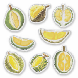 Durian Fruit Sticker