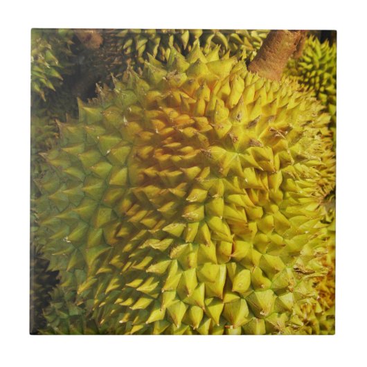 Durian Fruit Tegeltje (Voorkant)