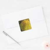 Durian Fruit Vierkante Sticker (Envelop)