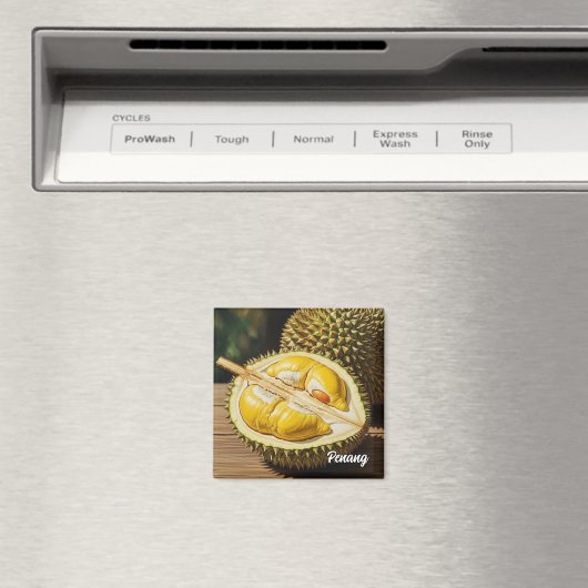 Durian in Penang Magneet (Insitu (Vaatwasser))