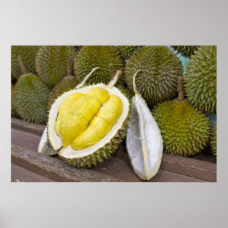 Durian King of Fruits in Singapore City Poster
