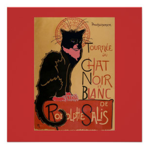 Dus Cool Le Chat Noir et Blanc Perfect Poster