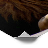 Dus daar! Lion die zijn tong uitsteekt Poster (Hoek)