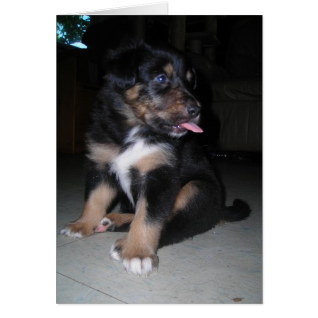 Dus daar! Puppy raspberry (Voorkant)