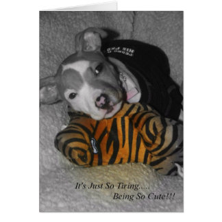 Dus de bedrading is zo klote!