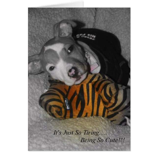 Dus de bedrading is zo klote! (Voorkant)