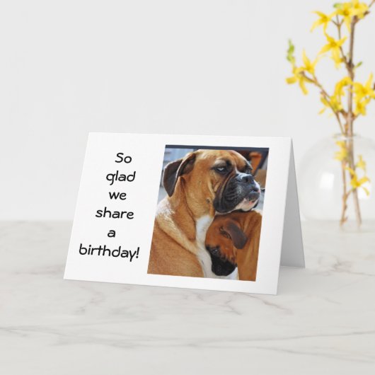 DUS GLAD WE DELEN EEN GROTE DAG KAART (Gele Bloem)