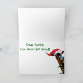 DUS Goede kerstgeit Feestdagen Kaart (Binnen)