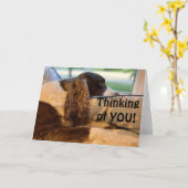 DUS HAPPY EN WIL U FELICITEREN KAART (Gele Bloem)