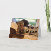 DUS HAPPY EN WIL U FELICITEREN KAART (Voorkant)