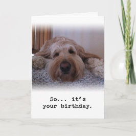 Dus... Het is jouw verjaardag Kaart