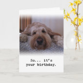 Dus... Het is jouw verjaardag Kaart (Gele Bloem)