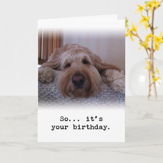 Dus... Het is jouw verjaardag Kaart (Gele Bloem)