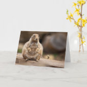 Dus ik ben een beetje kort voor mijn gewicht Kaart (Gele Bloem)