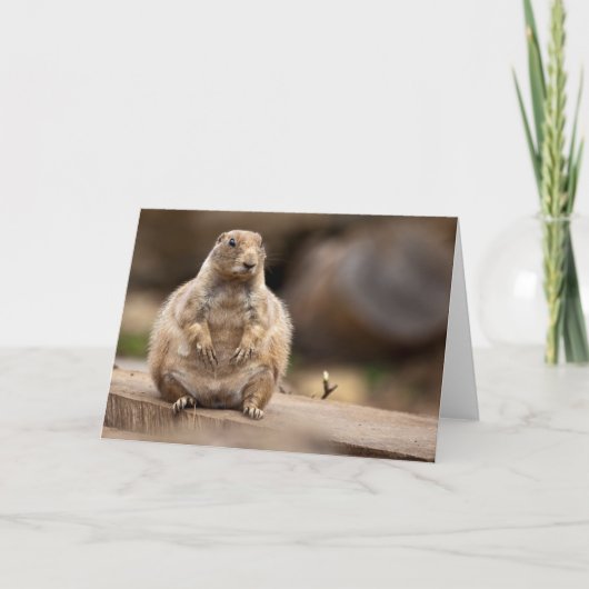 Dus ik ben een beetje kort voor mijn gewicht Kaart (Voorkant)