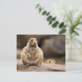 Dus ik ben een kleine verkorting voor mijn gewicht briefkaart (Staand voorkant)