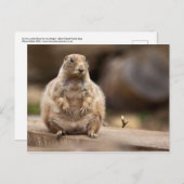 Dus ik ben een kleine verkorting voor mijn gewicht briefkaart (Voorkant / Achterkant)