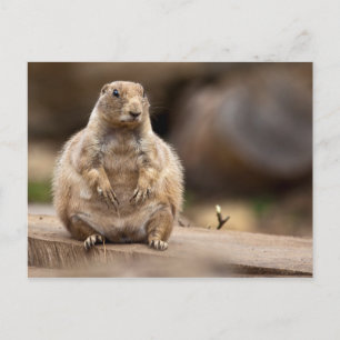 Dus ik ben een kleine verkorting voor mijn gewicht briefkaart