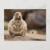 Dus ik ben een kleine verkorting voor mijn gewicht briefkaart (Voorkant)