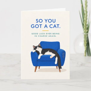 Dus je hebt een grappige nieuwe kat als huisdier kaart