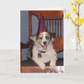 DUS KLAAR OM TE "FEESTEN" VOOR UW ***40e VERJAARDA Kaart (Gele Bloem)