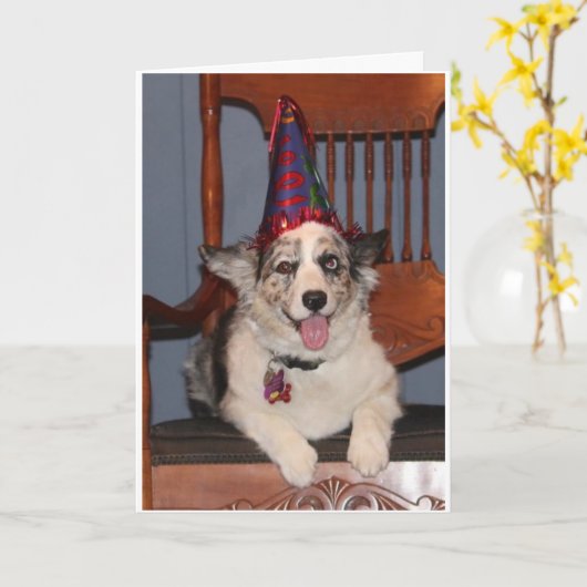 DUS KLAAR OM TE "FEESTEN" VOOR UW ***40e VERJAARDA Kaart (Gele Bloem)