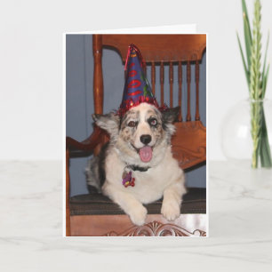 DUS KLAAR OM TE "FEESTEN" VOOR UW ***40e VERJAARDA Kaart