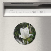 Dus puur..... magneet (Insitu (Vaatwasser))