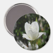 Dus puur..... magneet (Voorkant / Achterkant)