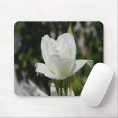 Dus puur.... muismat (Met muis)